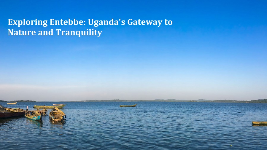 Exploring Entebbe: Uganda's Gateway to Nature and Tranquility